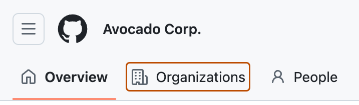 Captura de tela de uma empresa. A guia "Organizations" está realçada com um contorno laranja.